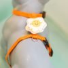 Arnés para gato color naranja con detalle de huevo estrellado en la espalda marca Hi Pet!
